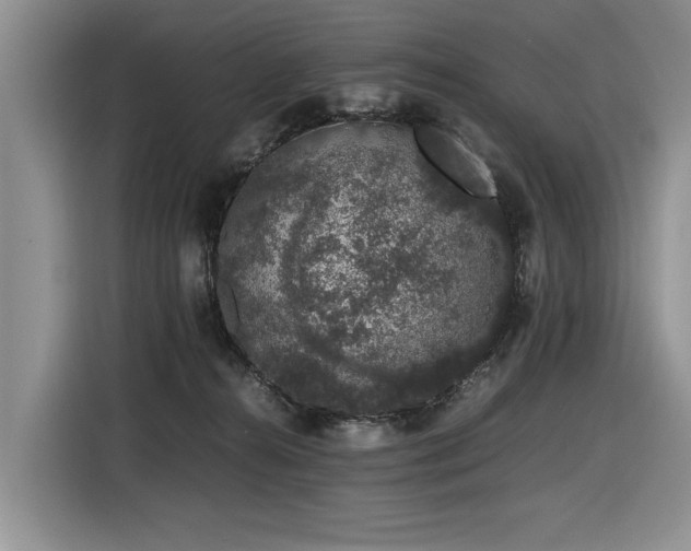 X0000116420272200912081510