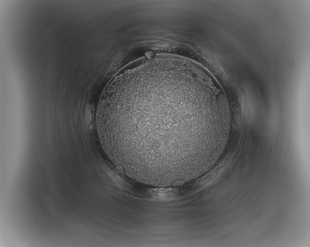 X0000116420273200912081510