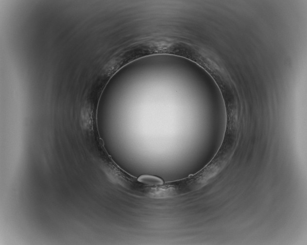 X0000116420274200912081510