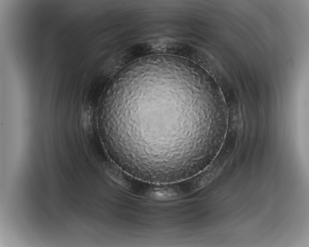 X0000116420275200912081510