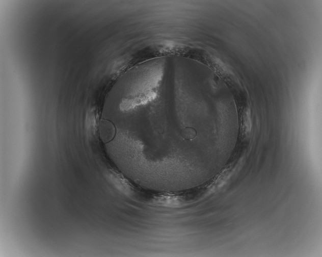 X0000116420276200912081510