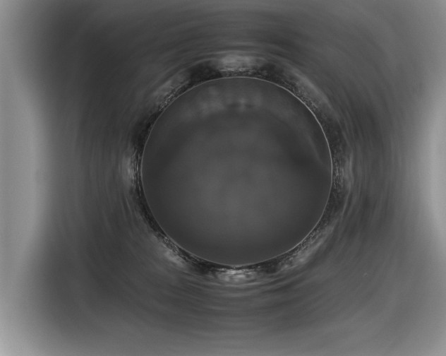X0000116420277200912081510