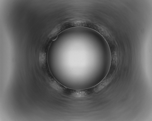 X0000116420278200912081510