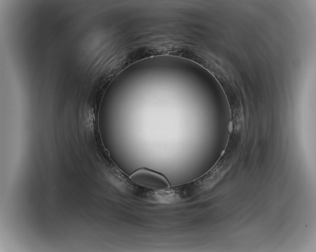 X0000116420279200912081510