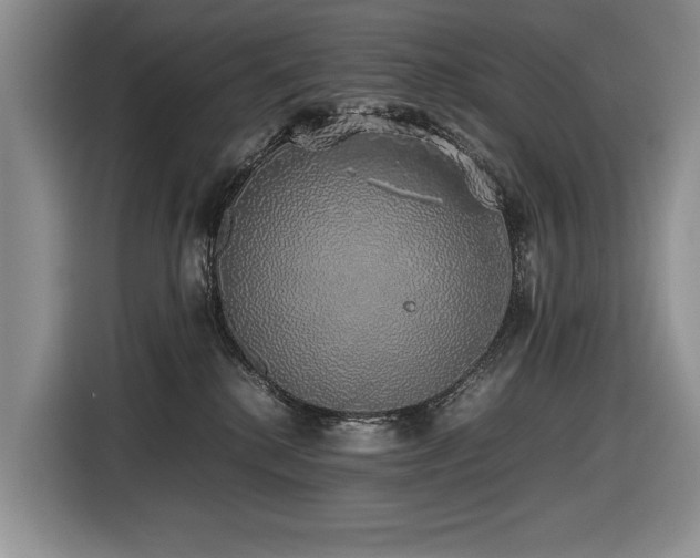 X0000116420280200912081510