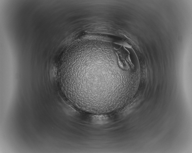 X0000116420281200912081510
