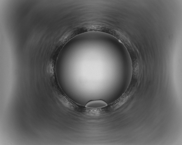 X0000116420282200912081510