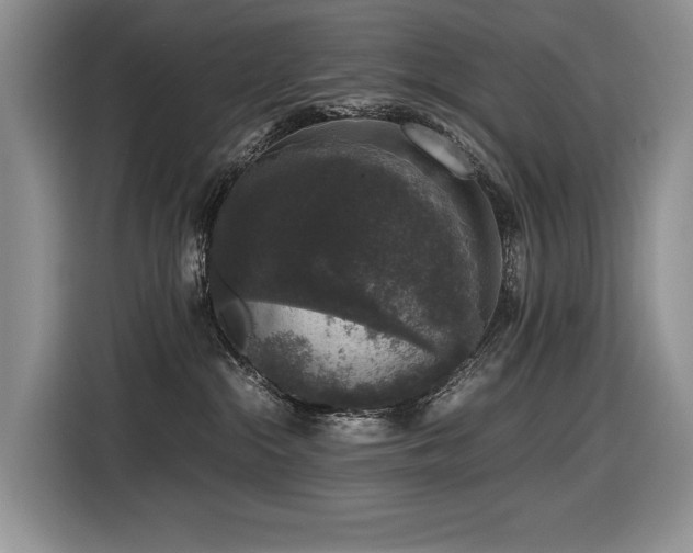 X0000116420284200912081510