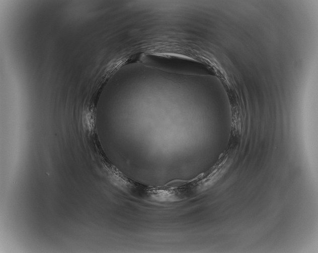 X0000116420285200912081510