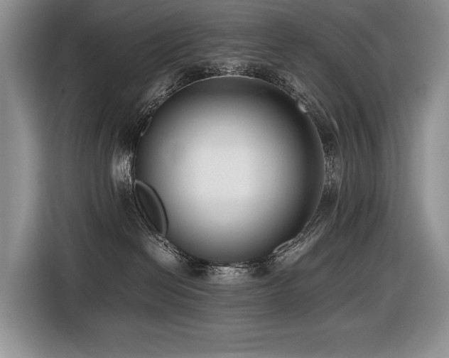 X0000116420286200912081510