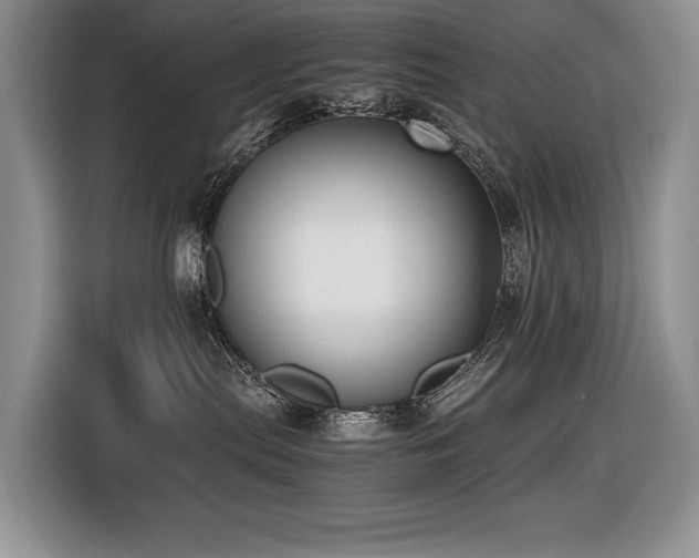 X0000116420287200912081510