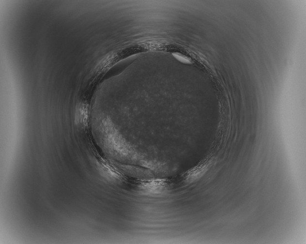 X0000116420288200912081510