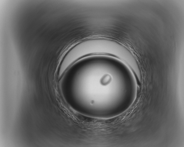 X0000116420289200912081509