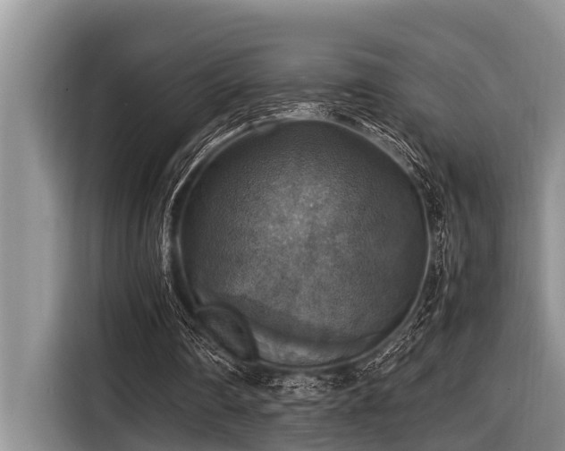X0000116420290200912081509