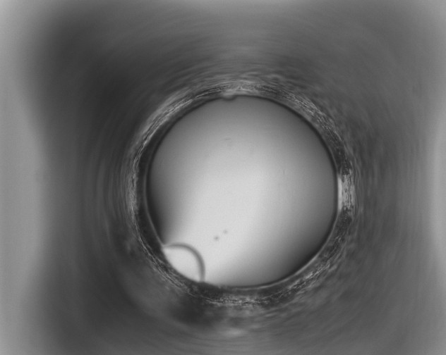 X0000116420291200912081509