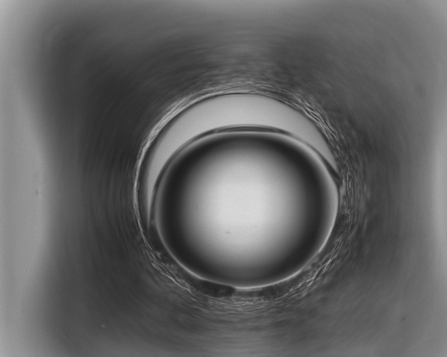 X0000116420292200912081509