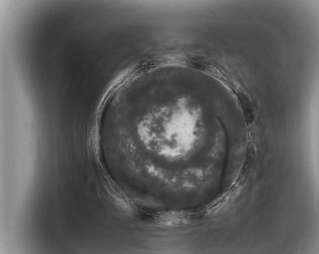 X0000116420293200912081509