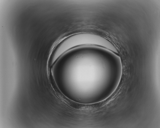 X0000116420294200912081509