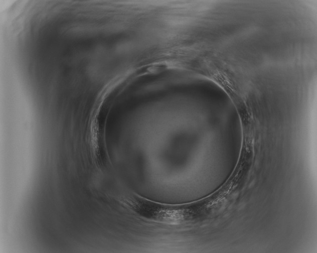 X0000116420295200912081509