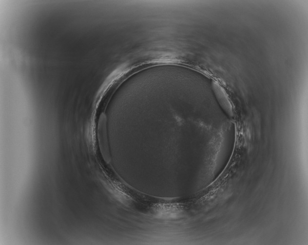 X0000116420296200912081509