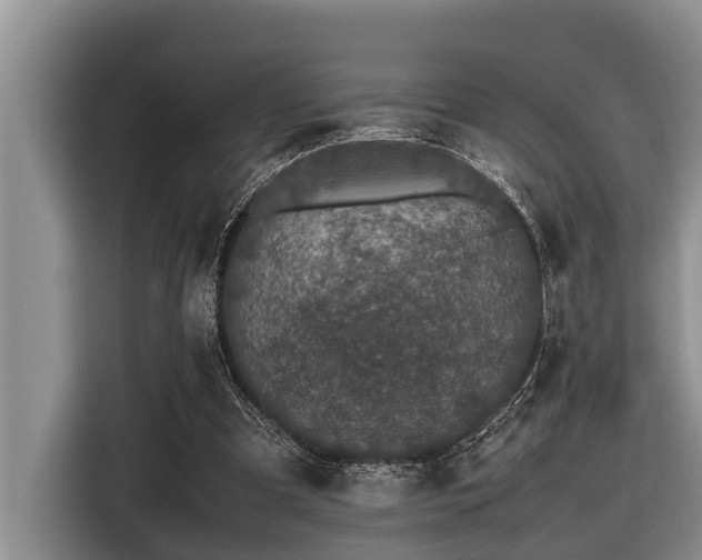 X0000116420297200912081509
