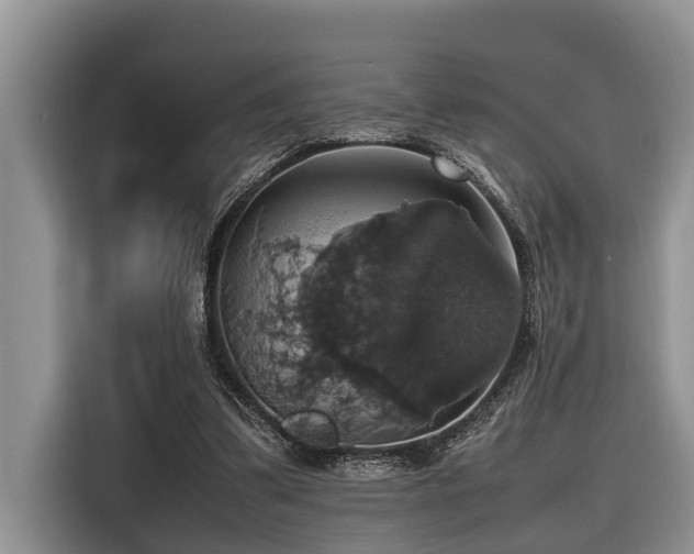X0000116420299200912081509