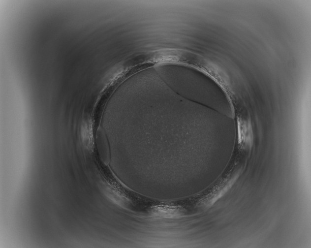 X0000116420300200912081509