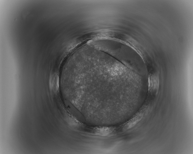 X0000116420301200912081509