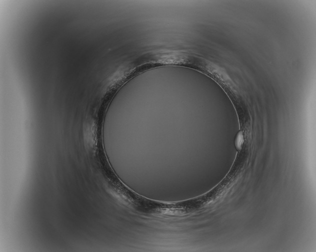 X0000116420303200912081509