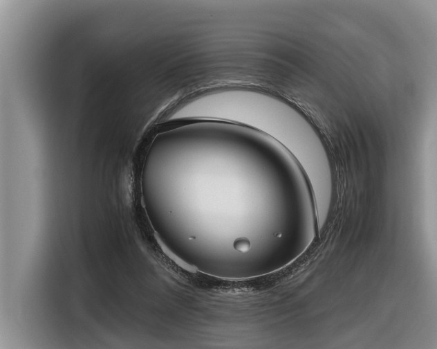 X0000116420304200912081509