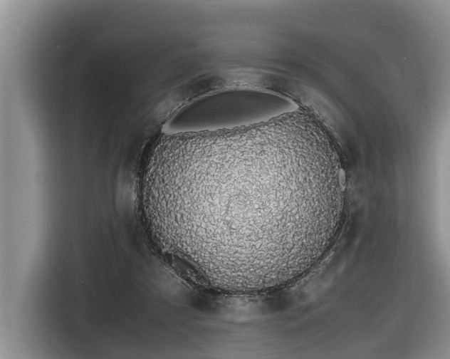 X0000116420305200912081509
