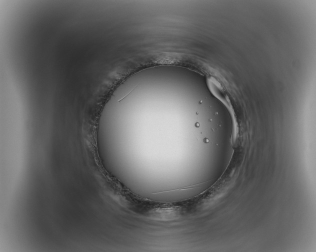 X0000116420307200912081509