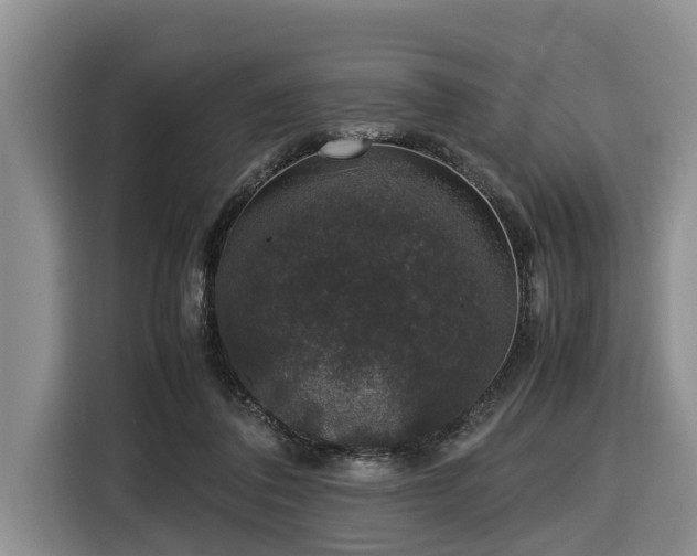 X0000116420308200912081509