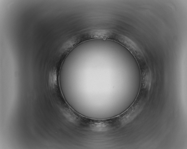 X0000116420310200912081509