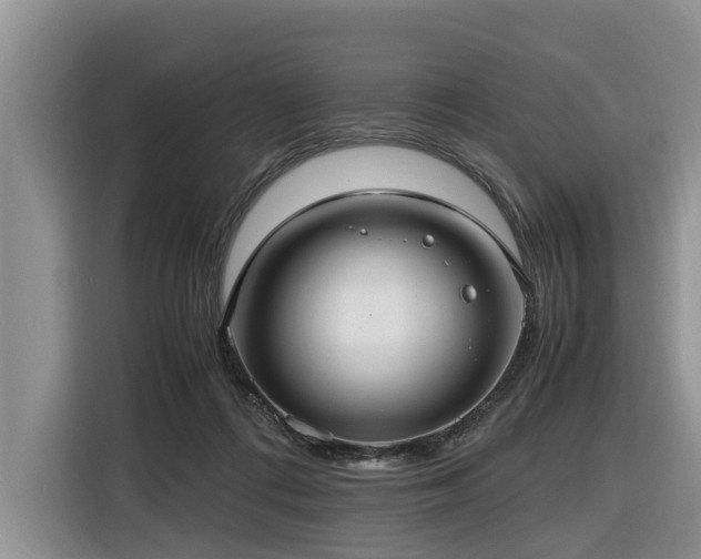 X0000116420312200912081509