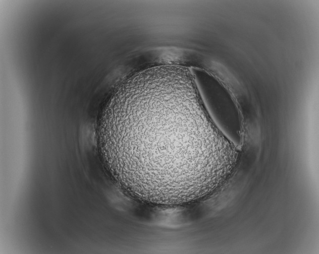 X0000116420313200912081509