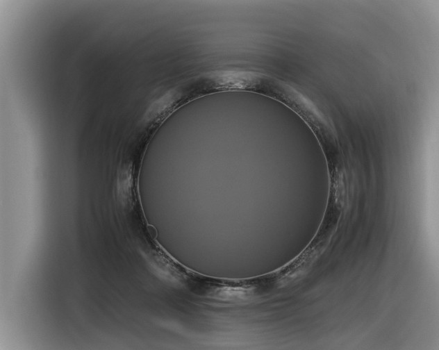 X0000116420314200912081509