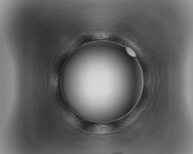 X0000116420315200912081509