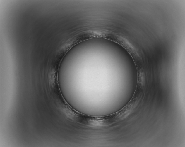 X0000116420318200912081509
