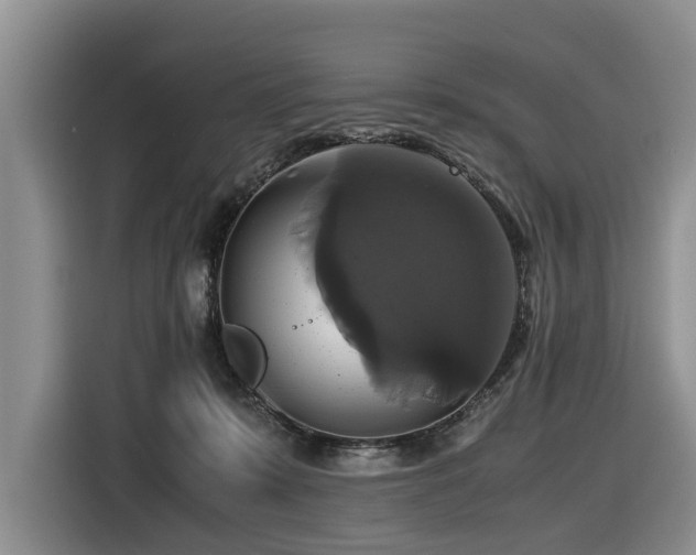 X0000116420319200912081509