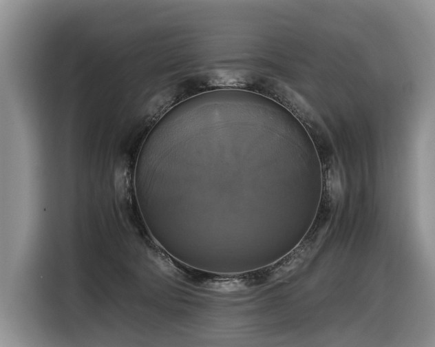 X0000116420322200912081509