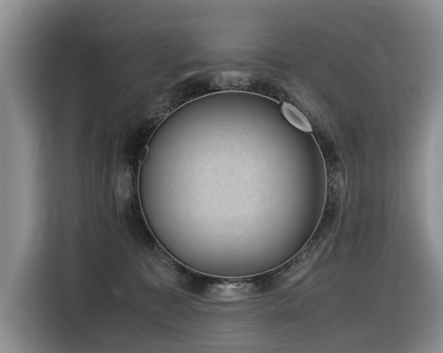 X0000116420323200912081509