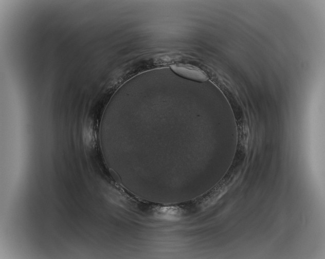 X0000116420324200912081509