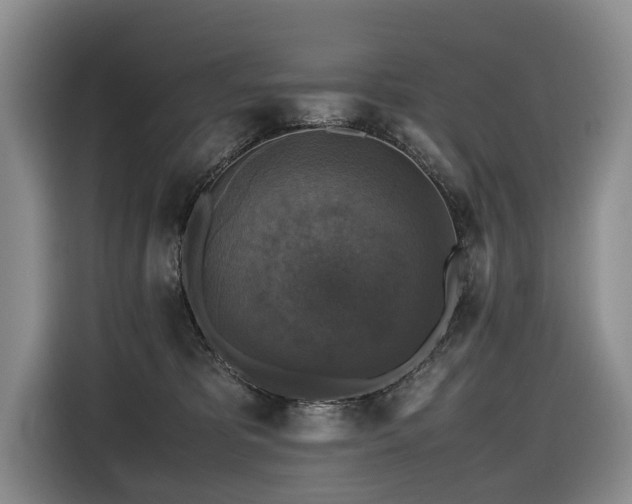 X0000116420325200912081509
