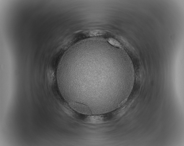 X0000116420327200912081509