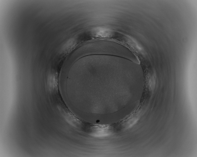X0000116420328200912081509