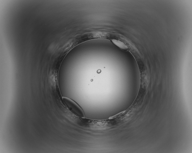 X0000116420329200912081509