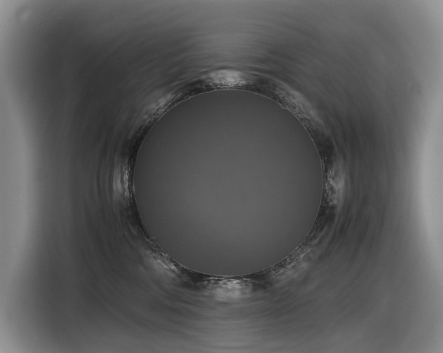 X0000116420330200912081509