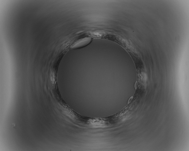 X0000116420331200912081509