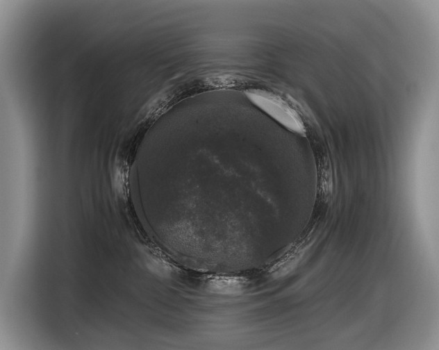 X0000116420332200912081509